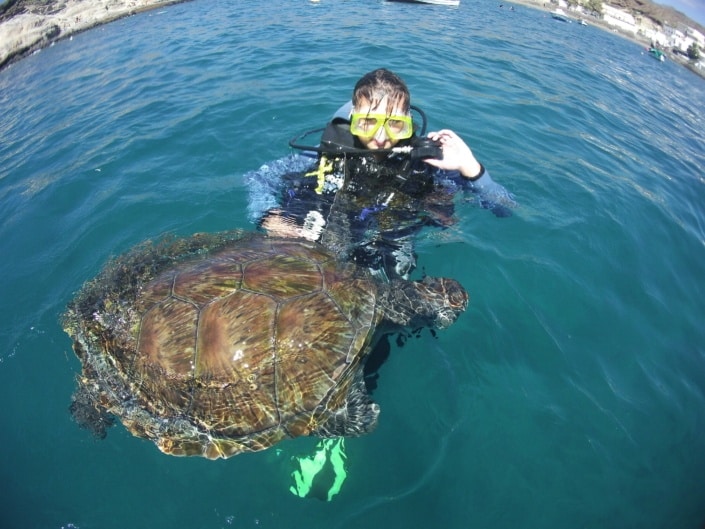 nadando con tortugas