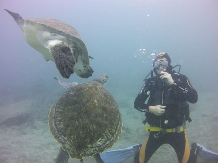 inmersión con tortugas