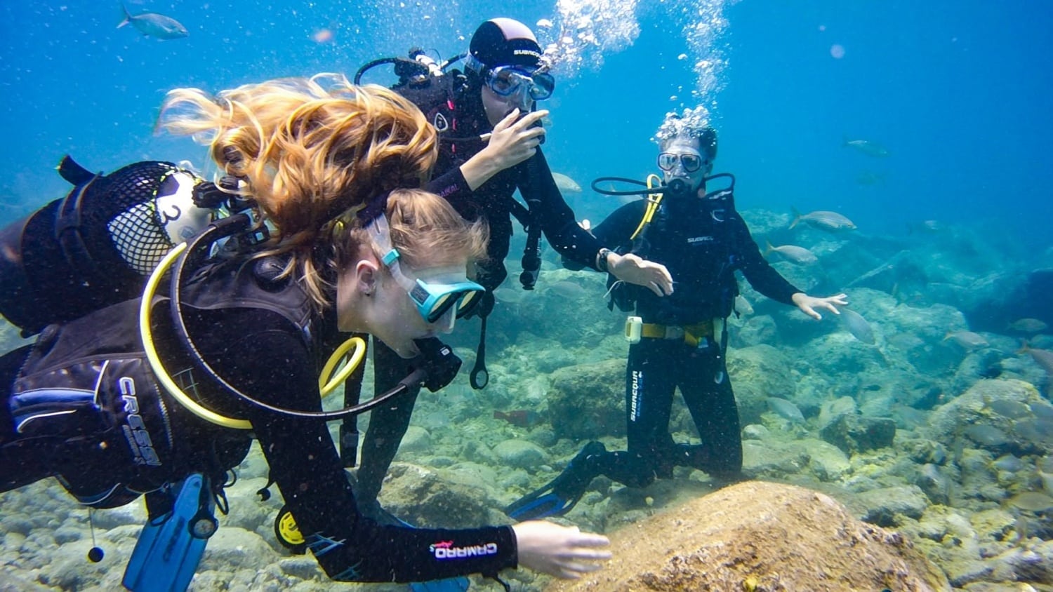 Escuela de buceo Tenerife Ocean Trek PADI 5* Centro Buceo