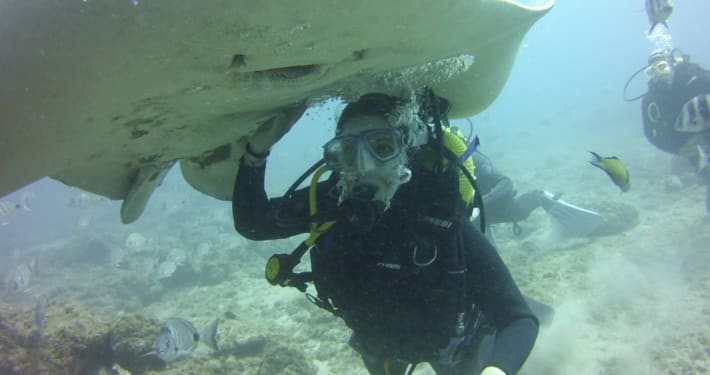 inmersión con rayas en acuarium