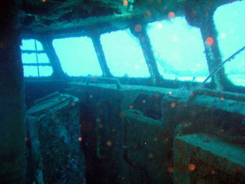 Wrack Tauchen Teneriffa 11